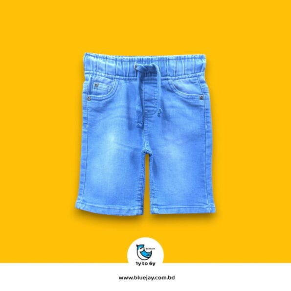 Blue Jay Denim Cargo Short Pant